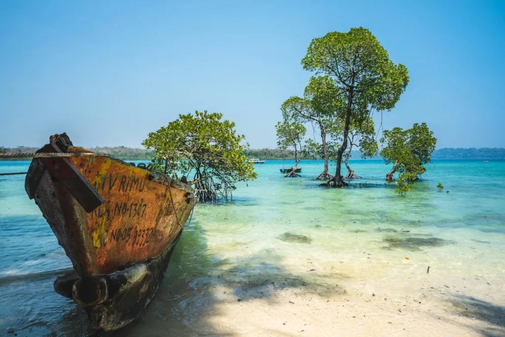 Andaman Islands, Andaman and nicobar island