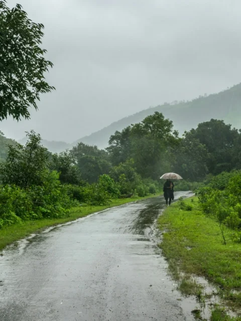 Malshej Ghat, Maharashtra