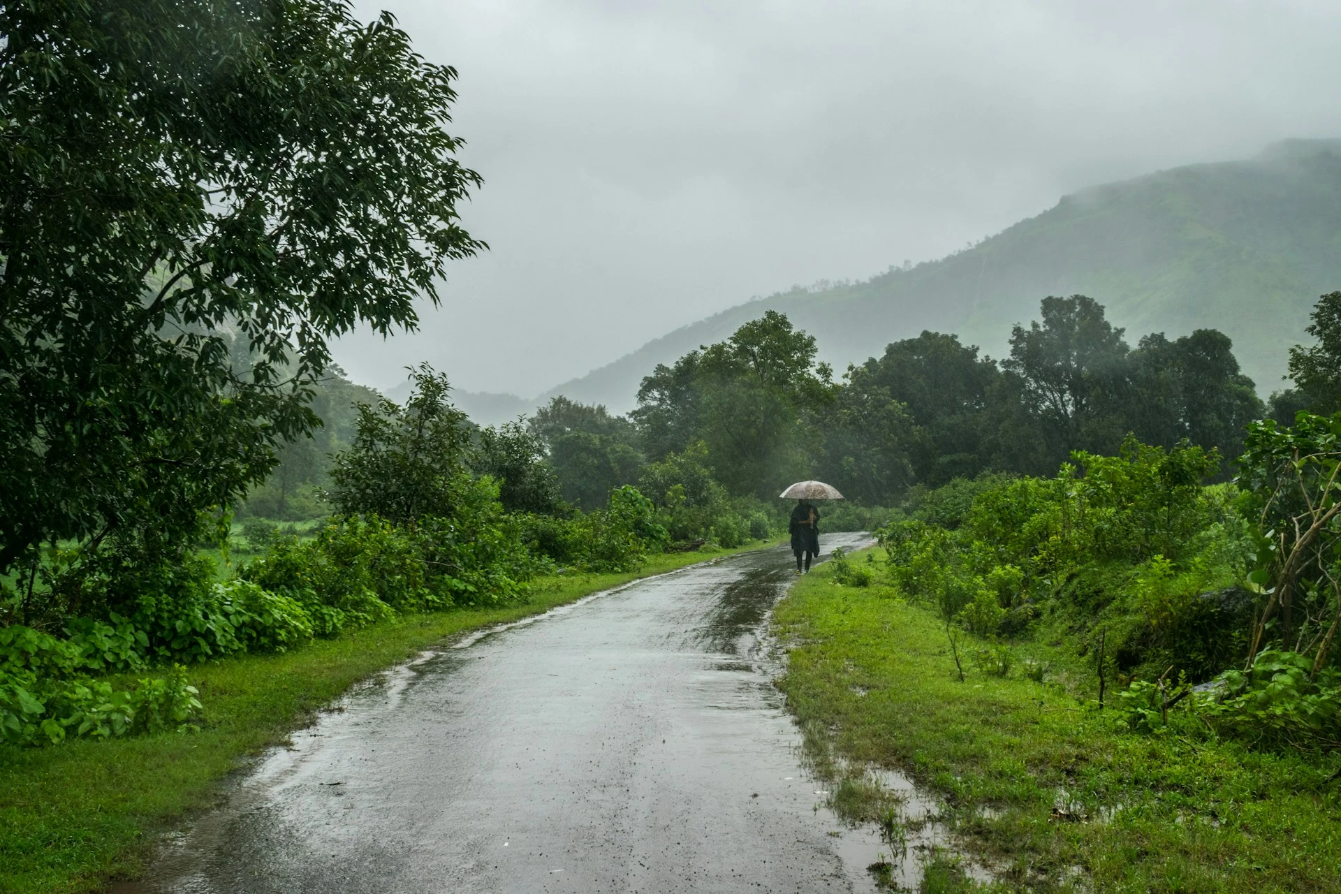 Malshej Ghat, Maharashtra