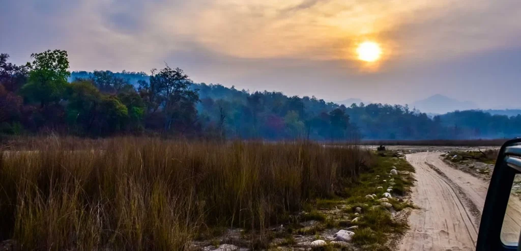 Safari at Rajaji National Park