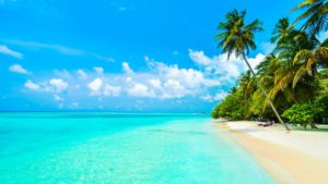 Top 5 Beaches in India to Spend Vacations