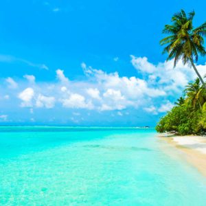 Top 5 Beaches in India to Spend Your Vacations
