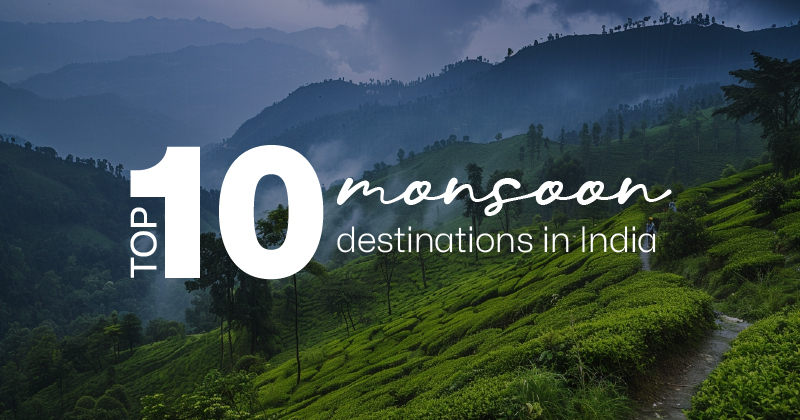 Love the rain? Here are the Top 10 Monsoon Destinations in India