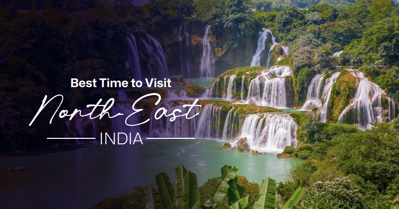 Best Time to Visit North-East India: A Seasonal Guide