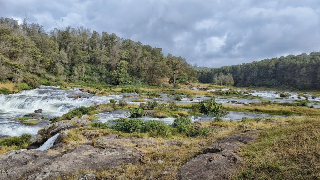 Ooty