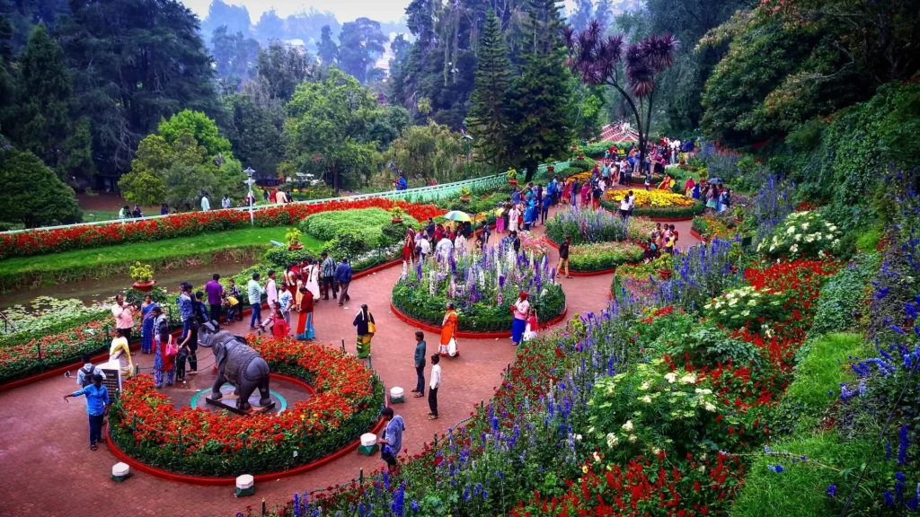 Botanical Garden in Ooty